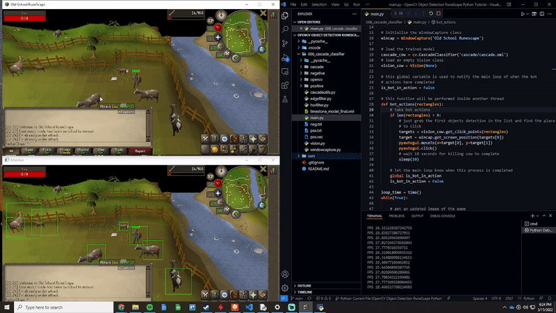 Computer Vision Old School RuneScape Project
